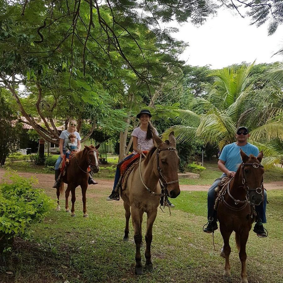 Genipapo Hotel Fazenda E Pesca Esportiva Боніту Екстер'єр фото